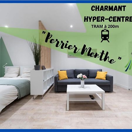 클레르몽페랑 ※Perrier Menthe※ Hyper-Centre Et Tranquillite 아파트 외부 사진